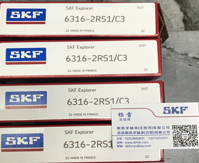 进口斯凯孚轴承SKF深沟球系列