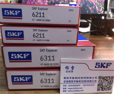 沈阳进口轴承6211SKF总代理