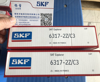 沈阳SKF轴承办事处销售6317-2Z/C3
