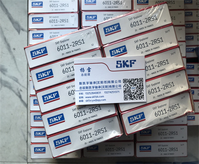 SKF轴承沈阳经销商6011-2RS1进口