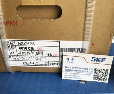 NSK轴承沈阳经销商 NSK轴承6016 CM