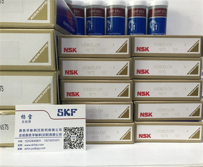 NSK品牌6308DDU双面胶盖密封