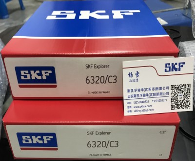 SKF中国官网授权沈阳SKF总代理6320C3